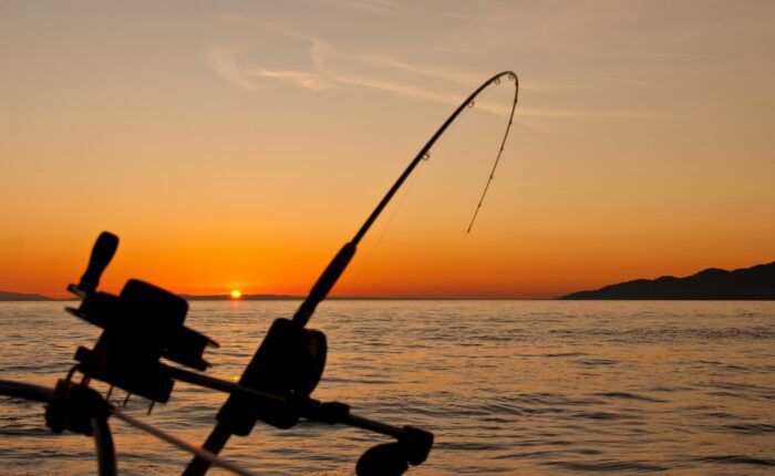 Silhouette of a fishing pole against a sunset